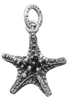 Charm Giovanni Raspini Donna Charms in Argento 06462 - 06462